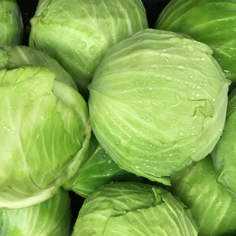 145e5f6207a74ab3e7ef98feadc7cac0 Cabbage - Image 1