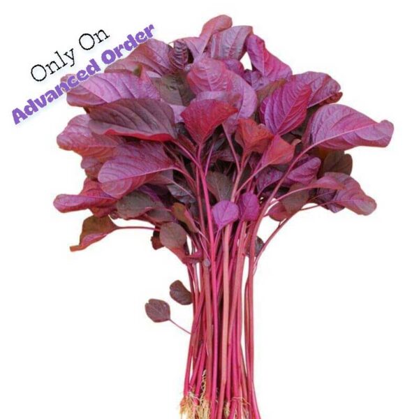 Red Amaranth spinach / Lal Shak- 3 Bunches