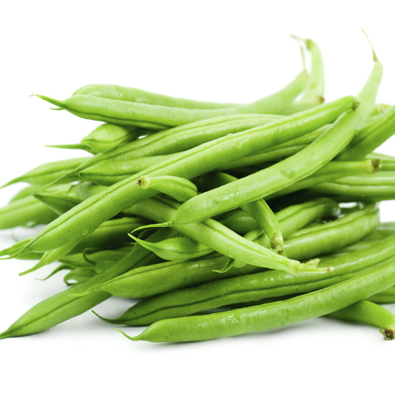 538c1fd75a1fcaab0bd1618e33aa96a2 French Bean - Image 1