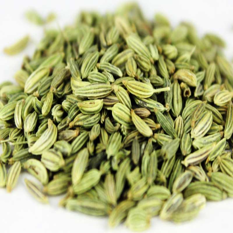b6c8da4044e9995751611c4e4fc27f15 Fennel - Image 1